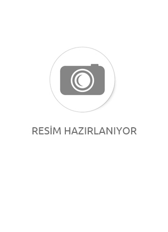 Özel Seri 14k Gold Bombeli Oval Model Yıldız Desen Küpe